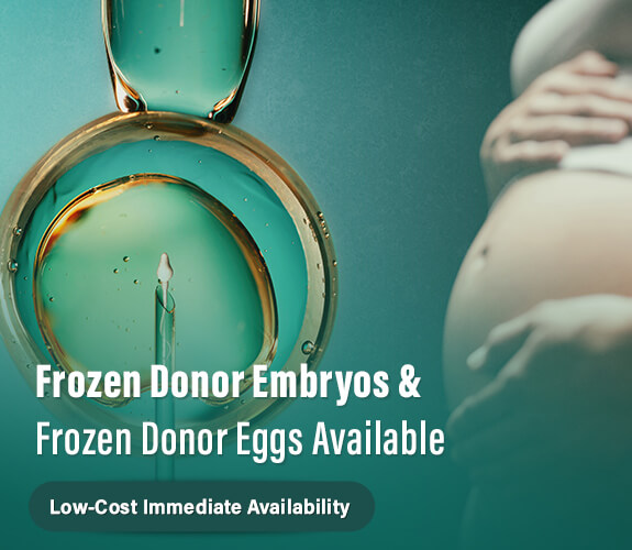 Frozen Donor Embryos & Frozen Donor Eggs Available