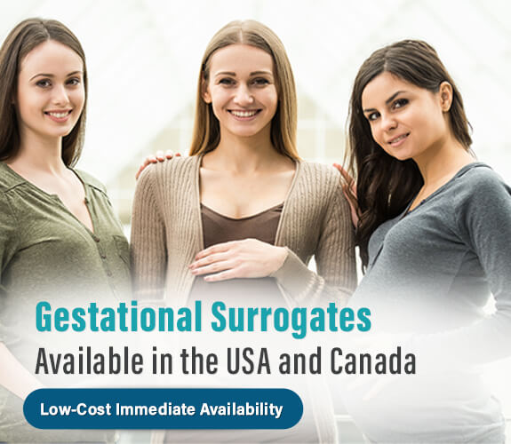 Gestational Surrogates Available in the USA
