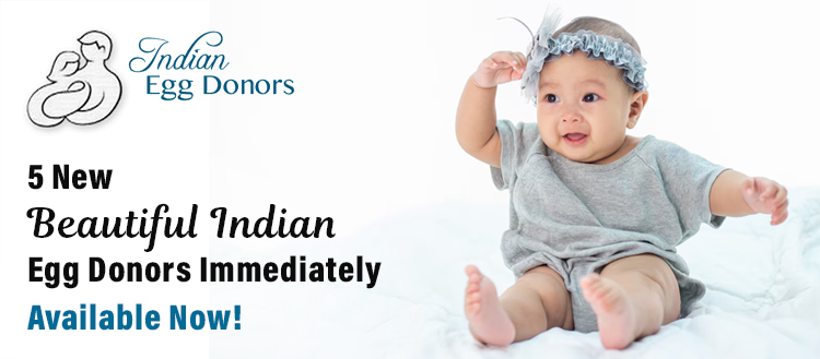 ASRM Followup: 5 new beautiful Indian egg donors immediately available!