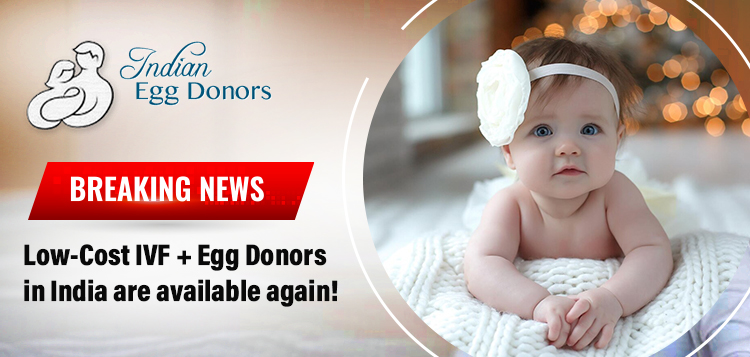 Breaking News! Low-Cost IVF + Egg Donors in India are available again! 