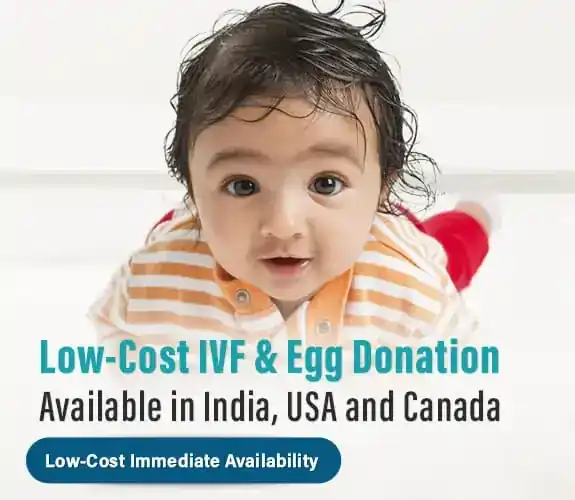 Low-Cost IVF & Egg Donation Available in India