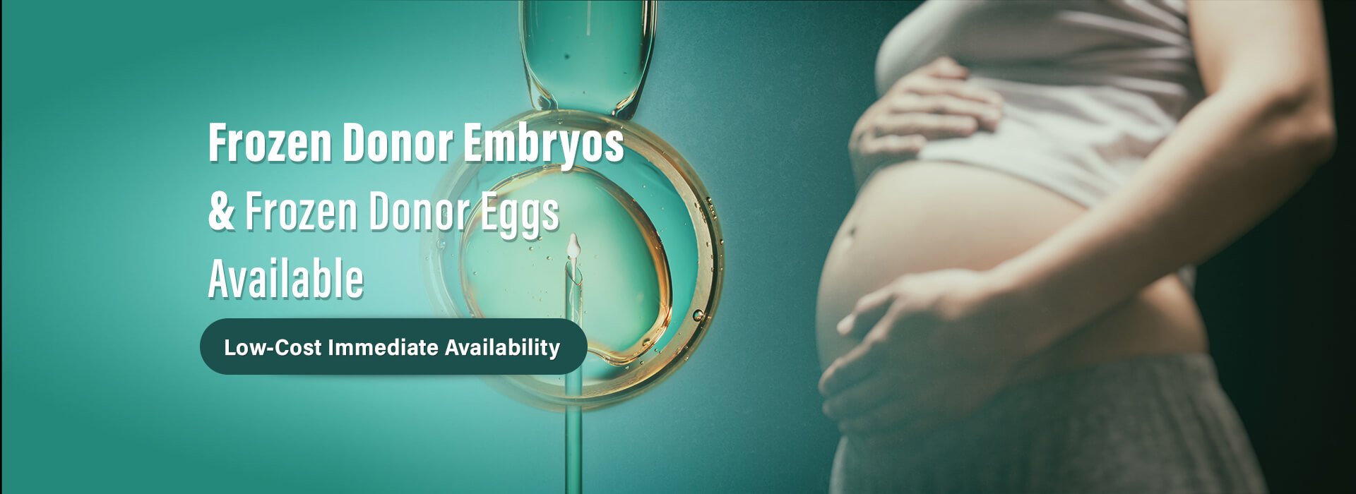 Frozen Donor Embryos & Frozen Donor Eggs Available