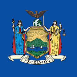 Indian Egg donor New York